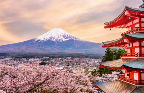 Best places for Hanami